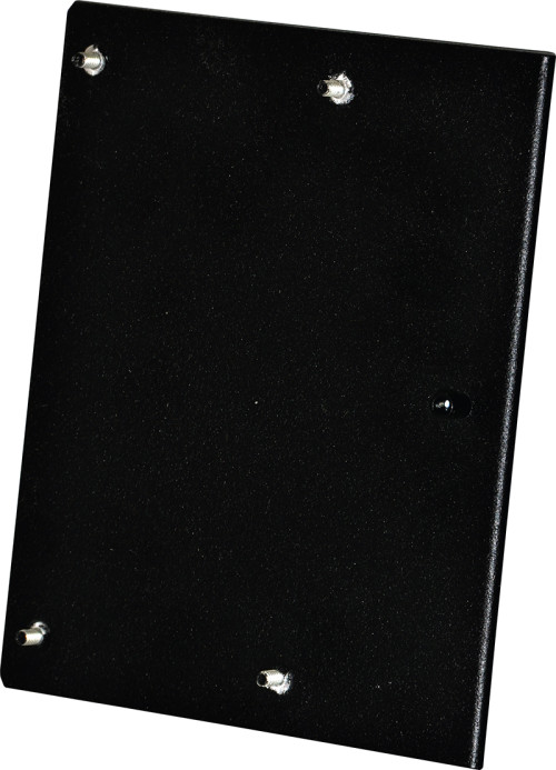 Altronix BR1